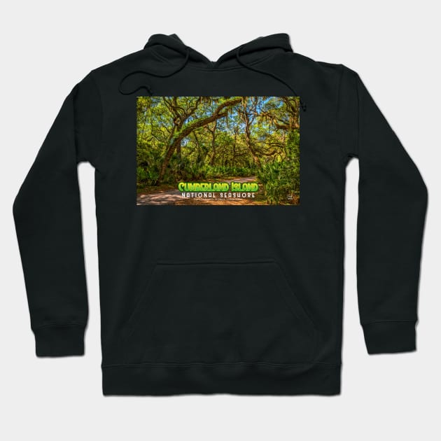 Cumberland Island National Seashore Hoodie by Gestalt Imagery